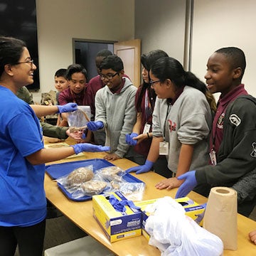 Brain Awareness Week
