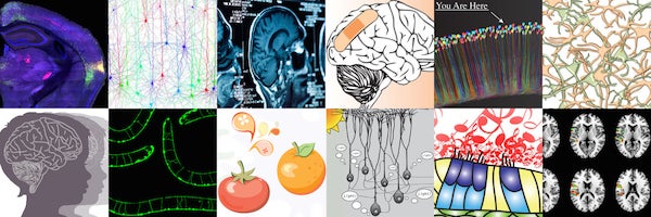 Knowing Neurons banner